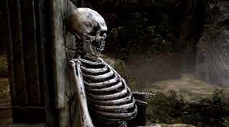 skeleton-found-in-salt-lake-dd-block