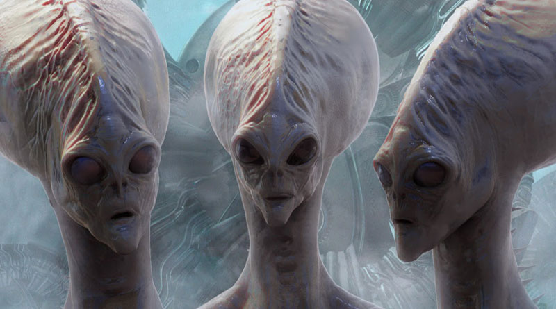 Turns out, there may be one trillion species on Earth