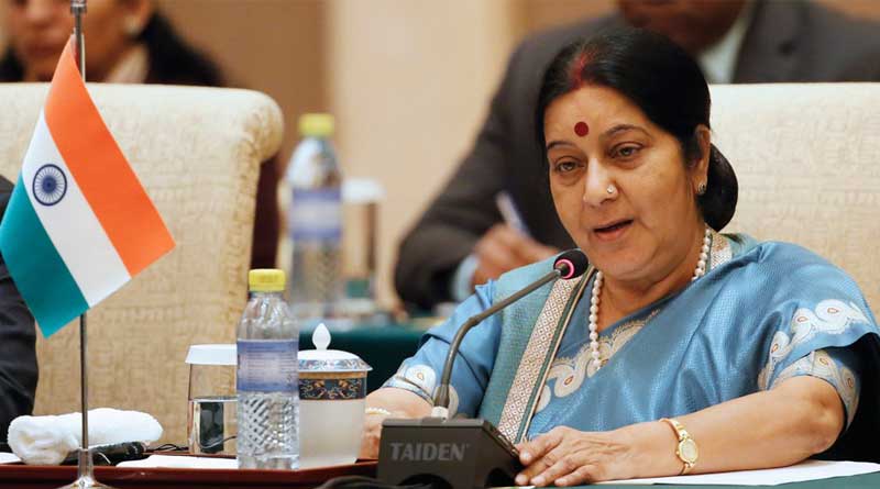 We are trying to ensure that India can become an NSG member this year says Sushma Swaraj