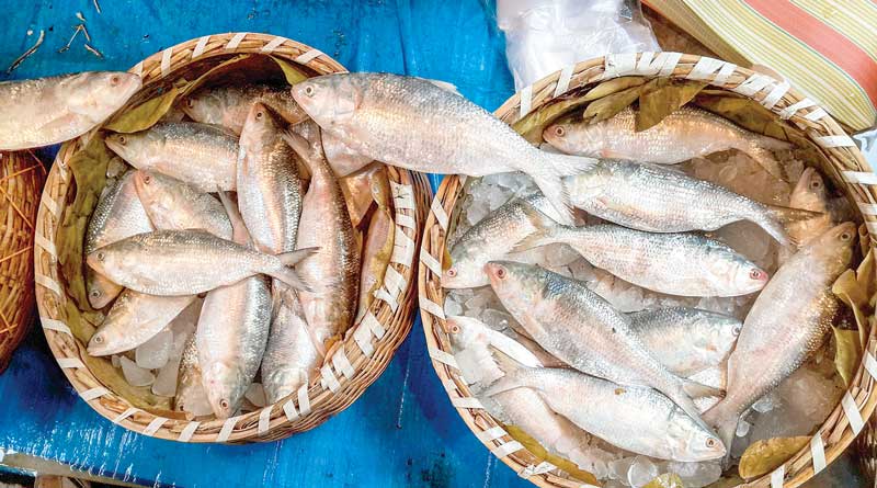 Bangladesh bans Hilsa finish for four months 