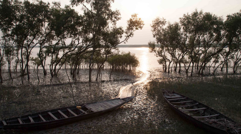 Mamata Banerjee's cabinet cleared the deck for setting up new district Sunderbans