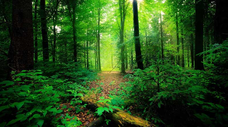 5 Beautiful Places In India That Are Too Dangerous To Visit