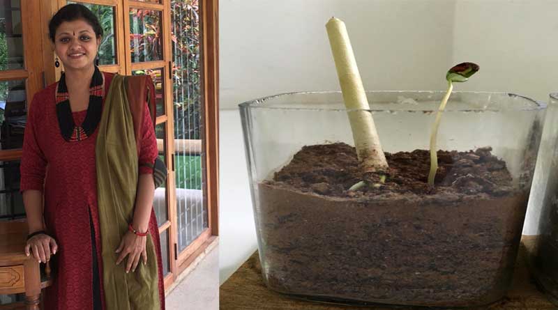 paper-pens-reduce-plastic-waste-ballpoint-seeds-grow-trees