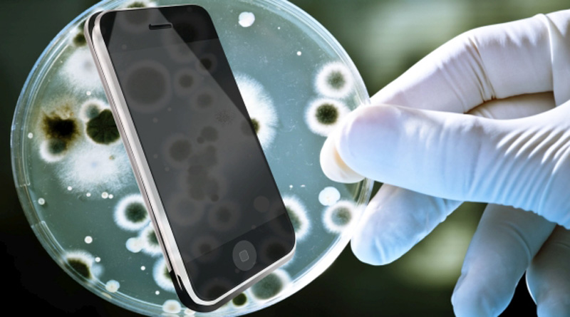 Tiny bacteria-powered 'windfarms' could power your future smartphone