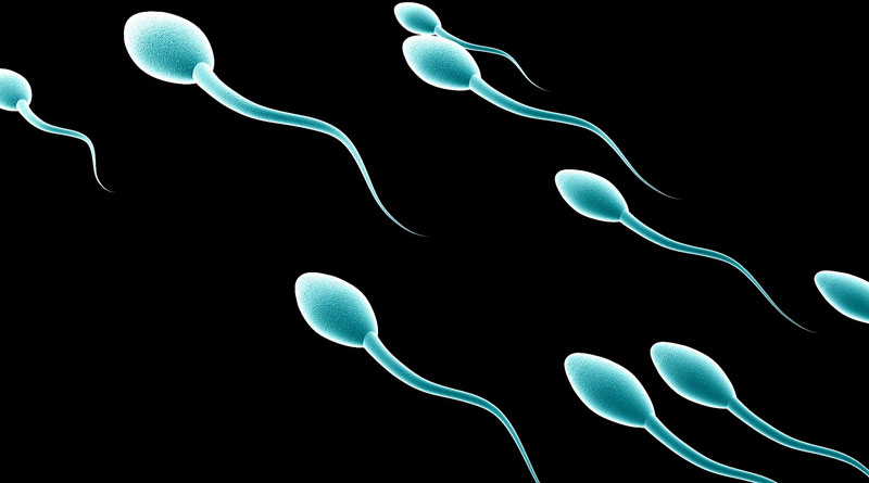 Widow asks doctors for dead hubby's sperm to have baby