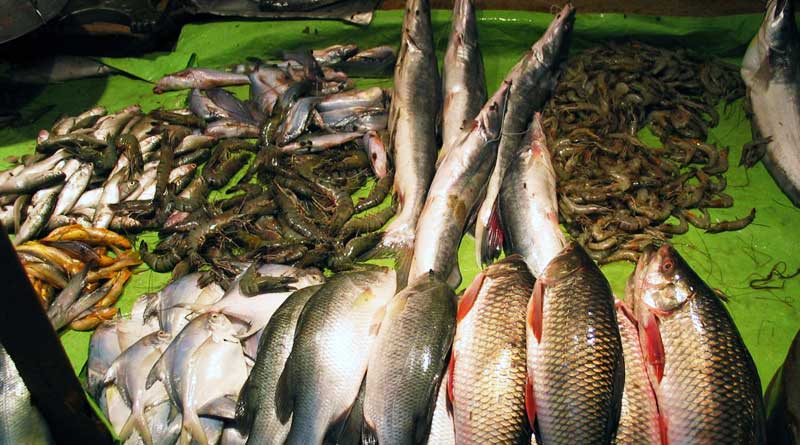 Henry Island Hatchery will be reformed