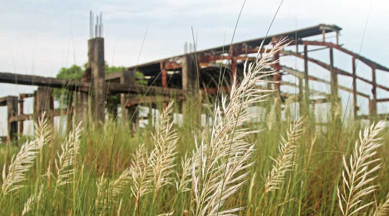 Singur land acquisition decision was cpm's worst mishap