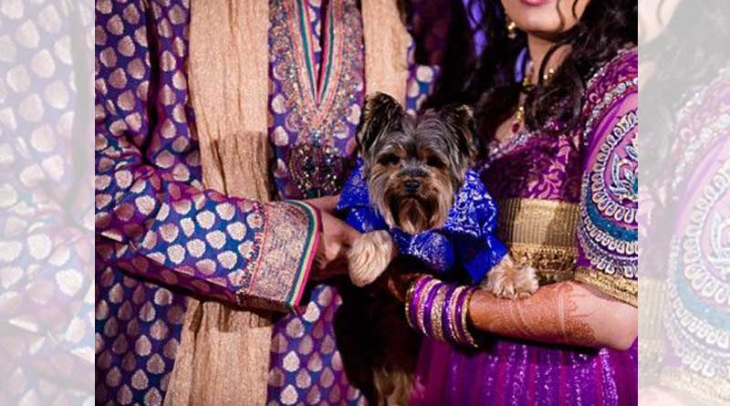 Bengaluru Woman rejected to marry a guy as he dosen't like her Dog