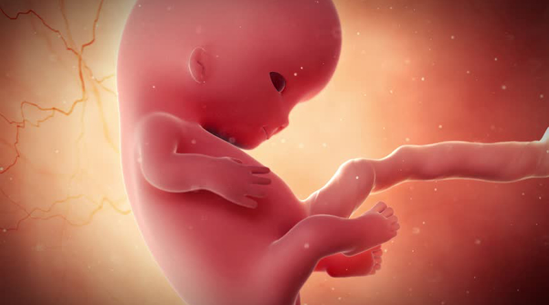 Court seeks Medical report on abortion
