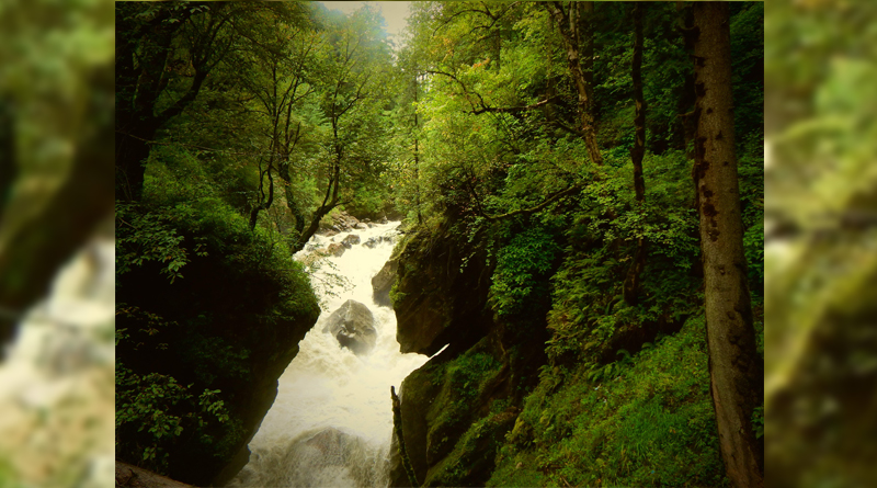 Spend Some Days In Parvati Valley, Experience Divine Familyhood