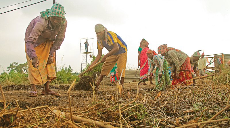 Singur Wants To Back To Agriculture, Soil Testing Is In Spree 