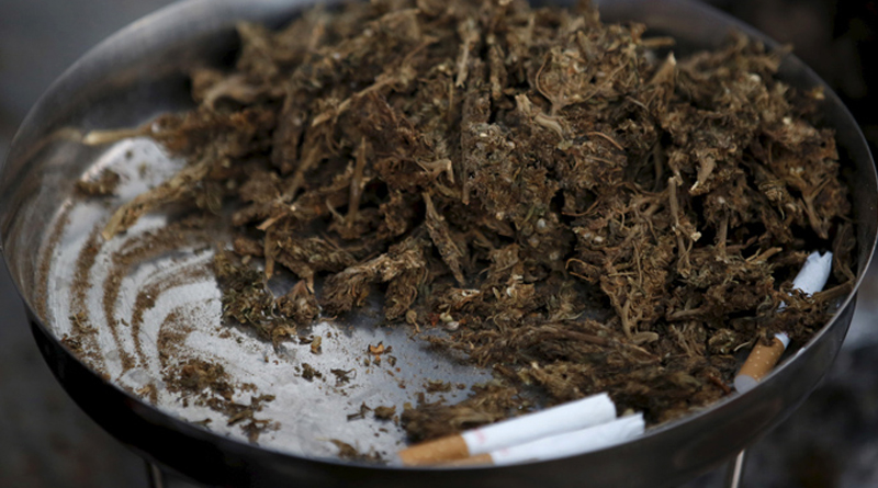 Asia's Best Marijuana is Grown in India