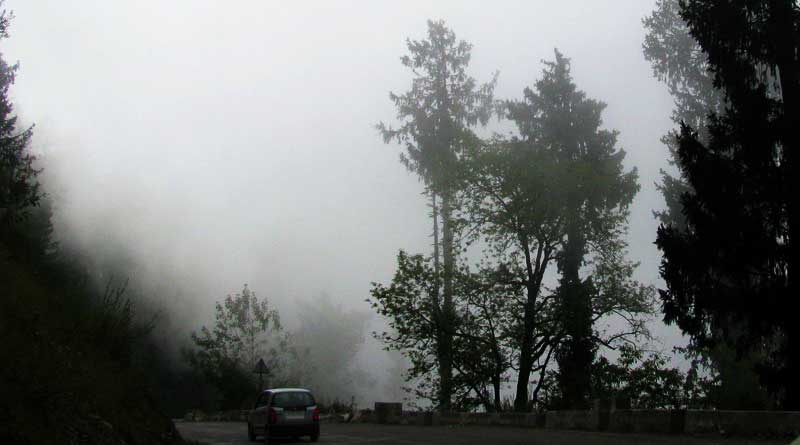 Places to Visit in Shoja