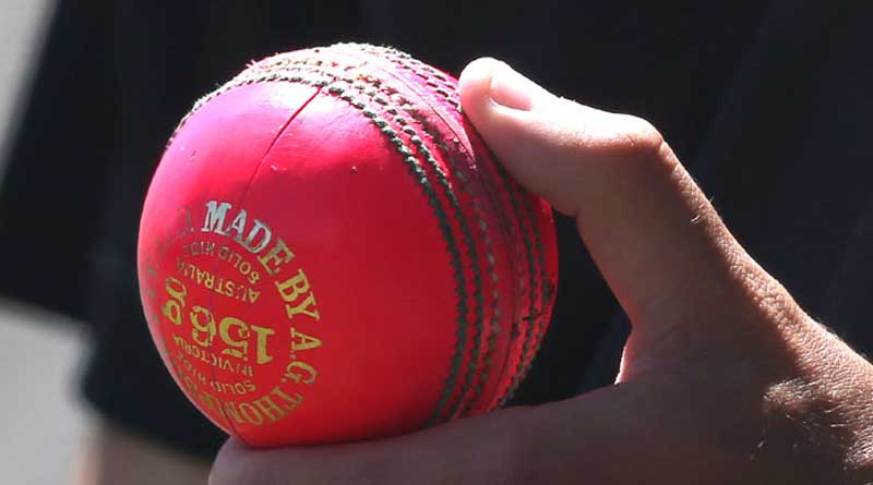 Australia vs Indian Cricket team Test series to start with pink-ball game in Adelaide just after IPL