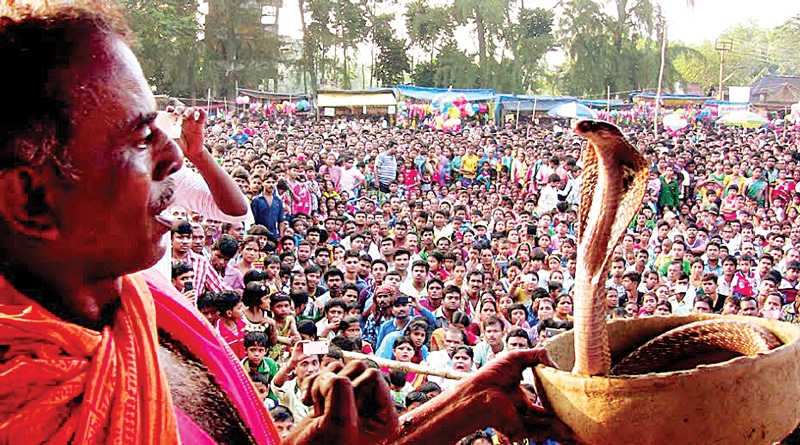 Snake Fest Charms Villagers In Midnapore, West Bengal