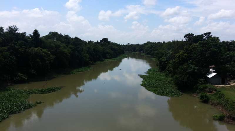 Churni river fishes are dying for the waste of Bangladesh Company 