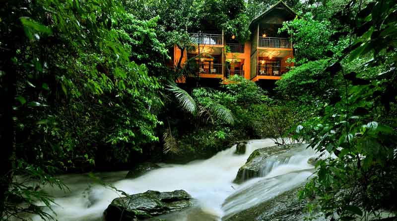 Top 5 Tree Houses in India