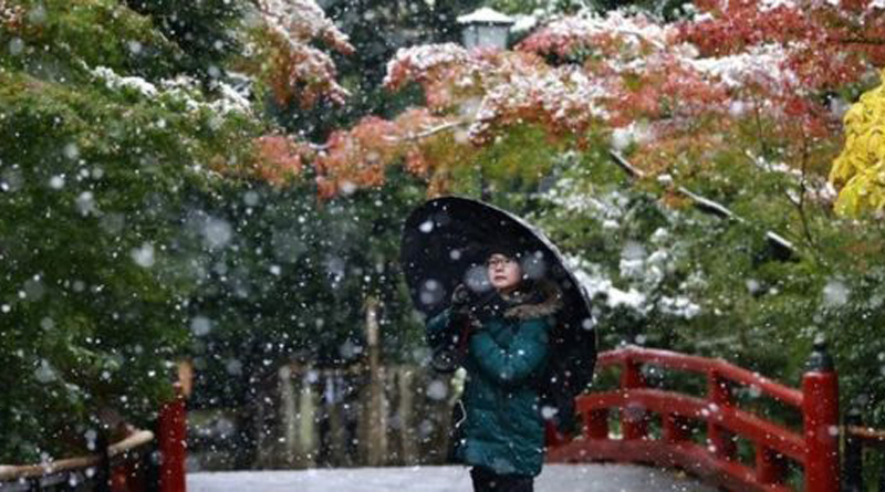 Tokyo sees first November snow in 54 years