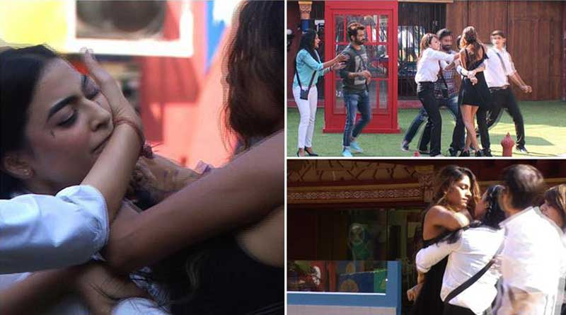 Big Boss 10: House witnessed Bani J, Lopamudra Raut’s cat fight