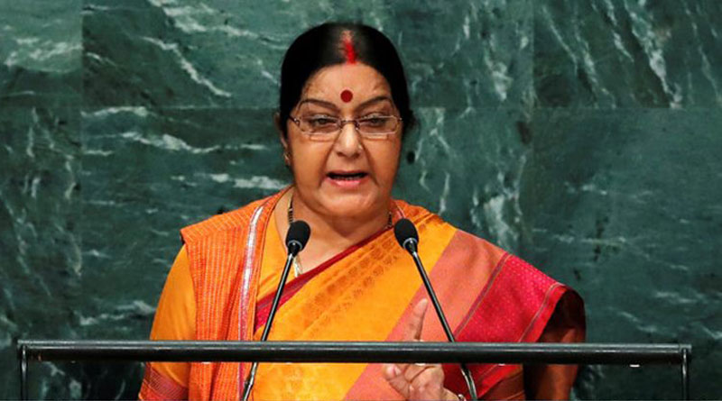 Jaish threat for India: Sushma tells Russia, China