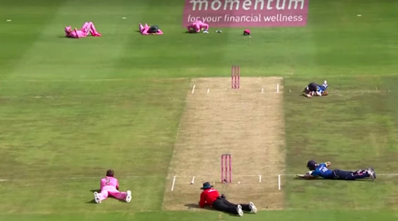 Bees halt play for an hour in South Africa - Sri Lanka ODI