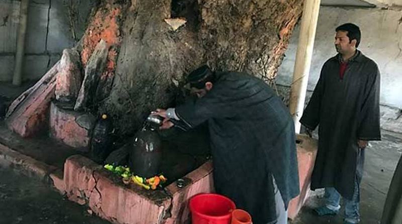 Muslims In Kashmir Celebrate Maha Shivratri, Request Kashmiri Pandits To Come Back Home