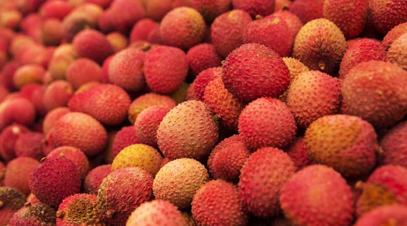 litchi responsible for Bihar mystery deaths, claims researchers 