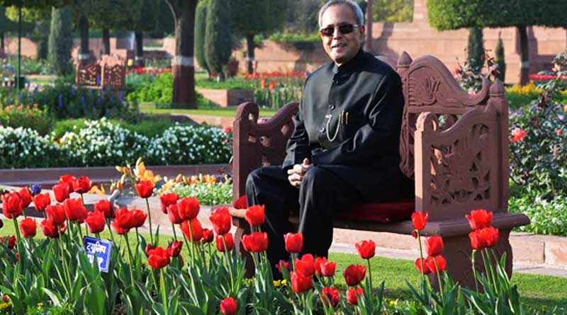 Roses named after Prez, wife to be displayed at Mughal Gardens