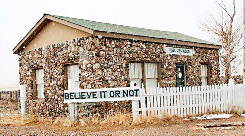 Innovative technology to use egg shell, bone in constructing houses 