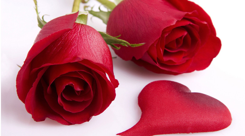 The legend of st. Valentine