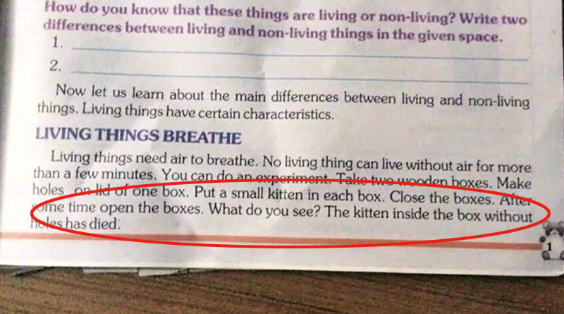 Kitten in a box 'textbooks' bizarre advice sparks furore