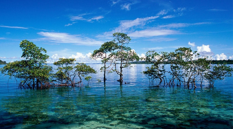 Rename Havelock Island as it reminds British rule: BJP MP
