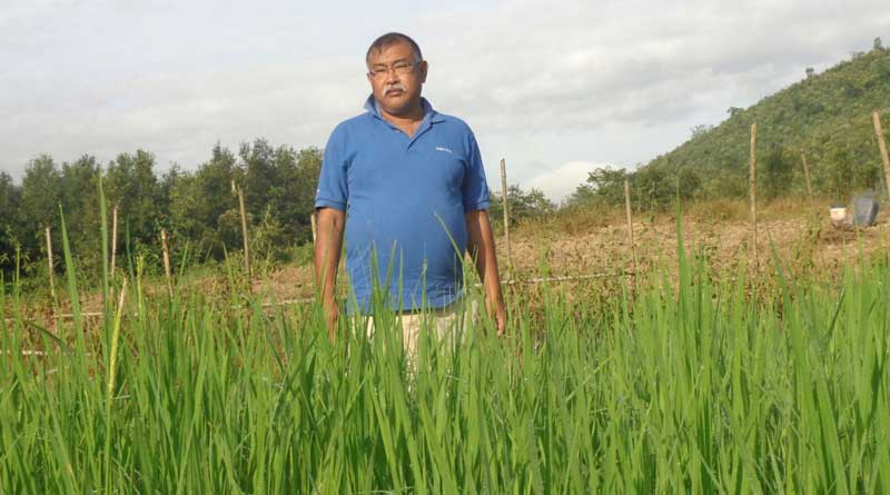 Manipur man finds 185 types of wild rice