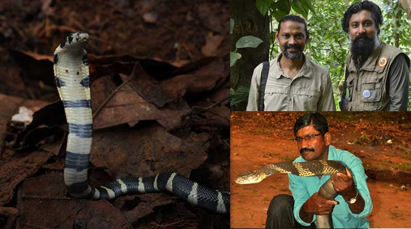 3 conservationists guard Cobra egg for 100 days, see pics