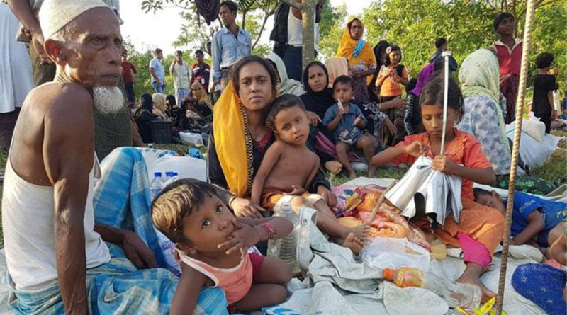 Bangladesh mulls sterilization of Rohingya refuges