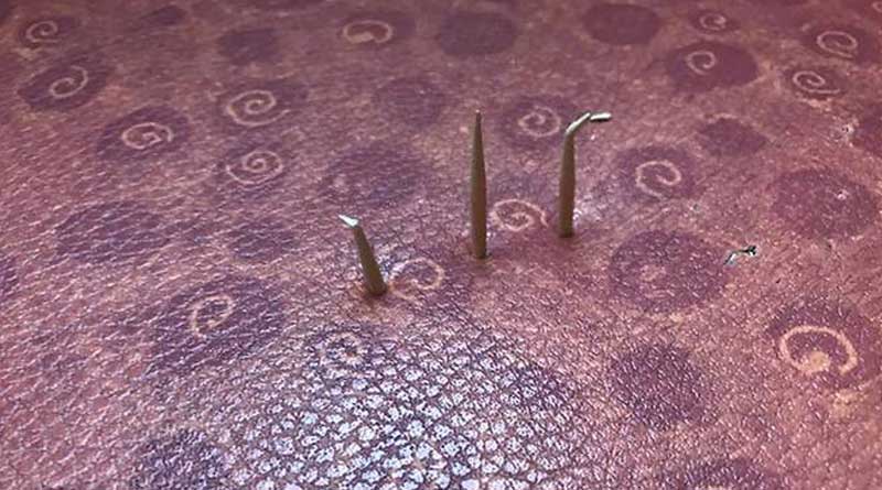 Singapore Man Faces Jail For Sticking Toothpicks Into Bus Seat