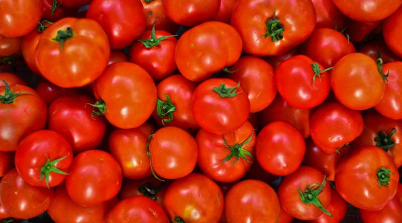 Karnataka: Farmers sell 2k Boxes of Tomatoes for 38 lakhs | Sangbad Pratidin