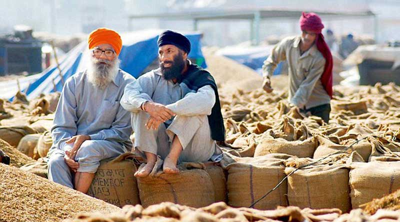 Food Corporation lost Rs 35,701 crore in Punjab says CAG