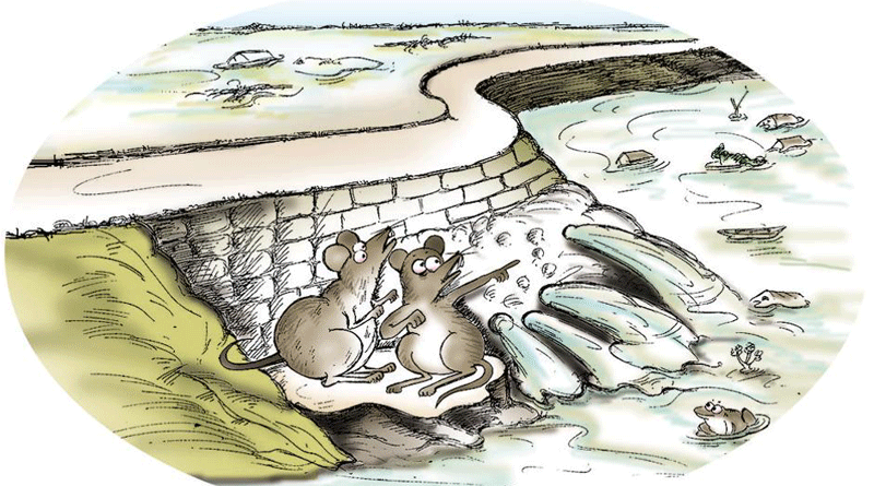 Bihar minister blames rats for flood fury in state