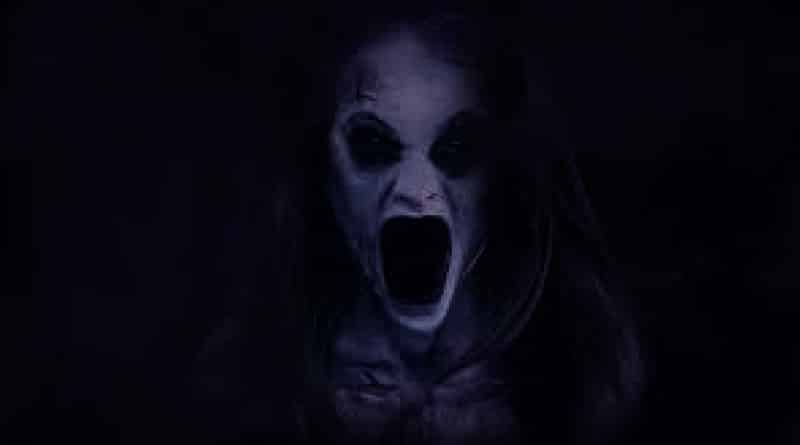 Watching horror movies is good for health  