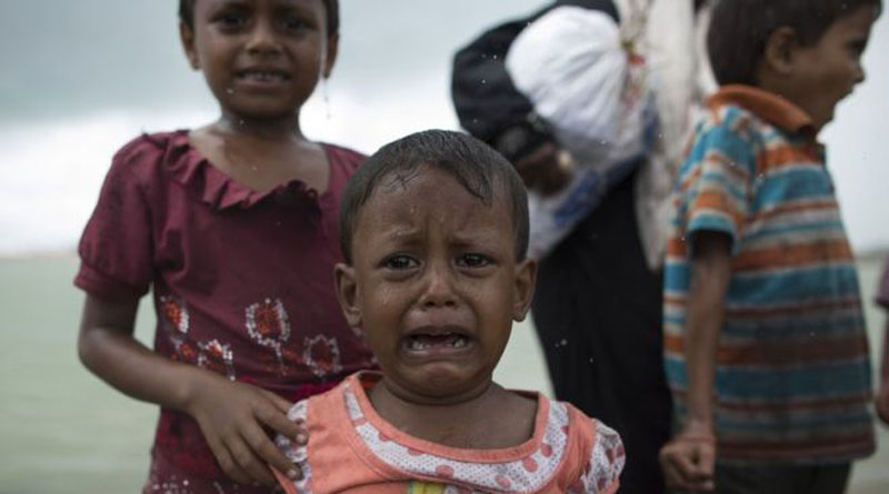 SC says no to Rohingya deportation till next hearing
