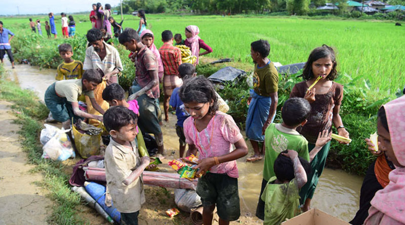 UN slams India on Rohingya deportation issue  