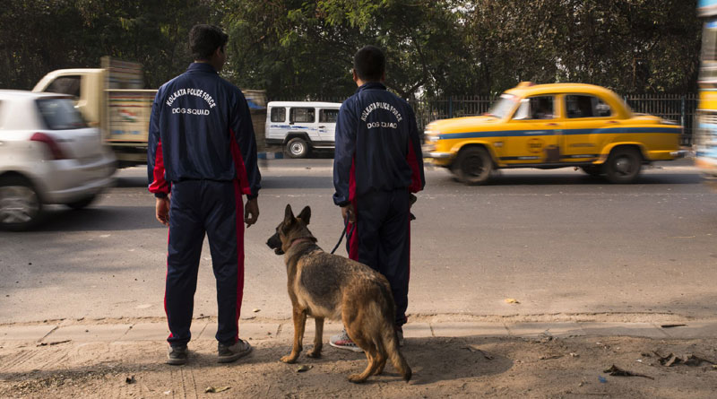 Kolkata Police dog squad to get 'new dress' this Puja