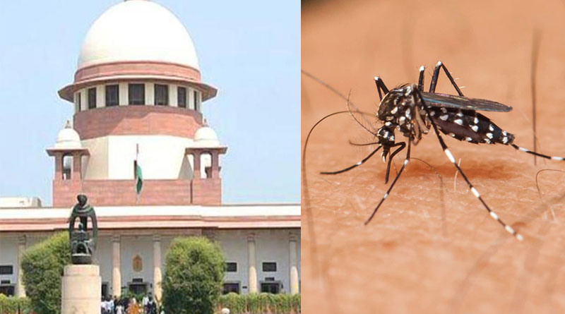 Tiny ‘mosquito’ is too much for Supreme Court to handle