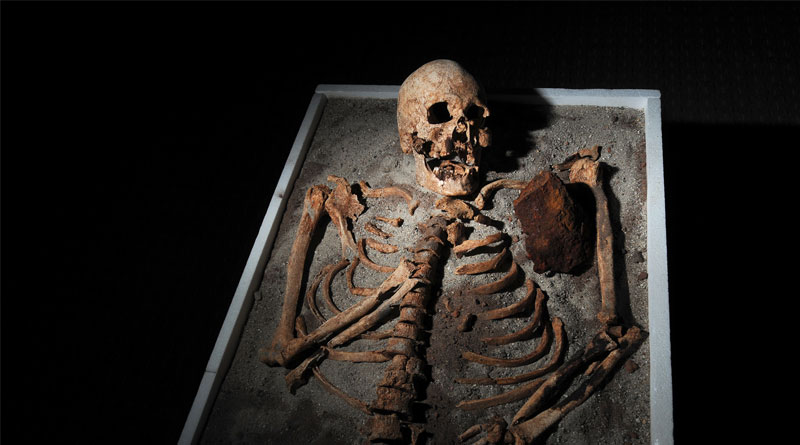 Skeleton rescued from a dustbin at Bhatapara Municipality area spreads panic| Sangbad Pratidin