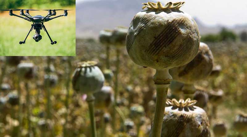 West Burdwan: Cops to use drone to curb poppy cultivation
