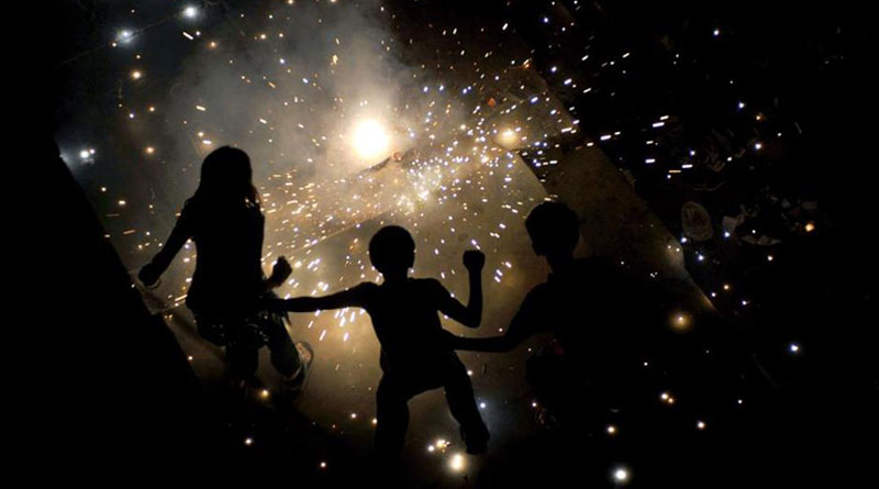 TN villages say no to crackers to help birds, bats