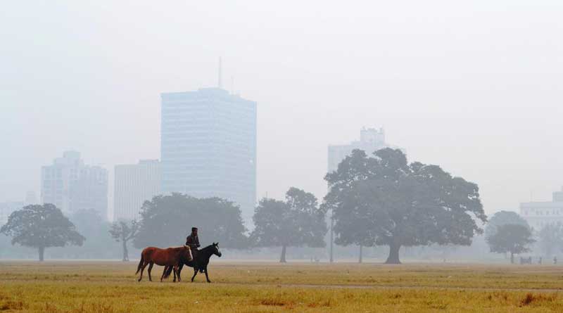 WB Weather Update: Temperature decreased in West Bengal । Sangbad Pratidin