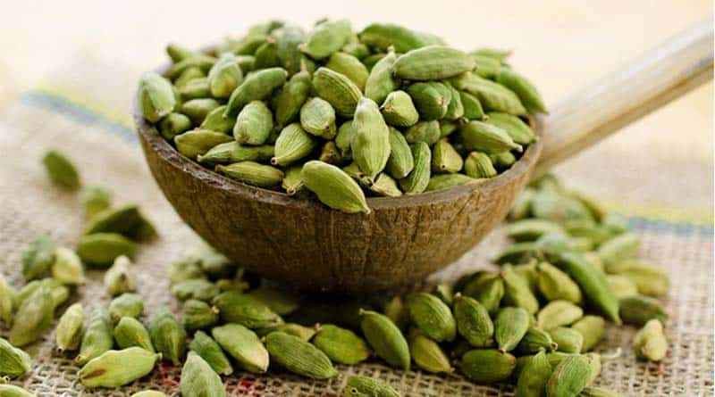 Cardamom_Web