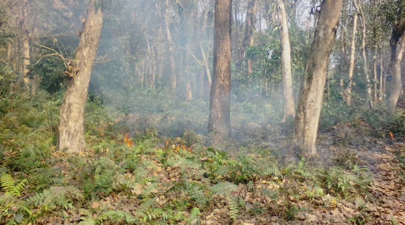 Poachers behind the continuous fire in the forest of Ayodhya | Sangbad Pratidin